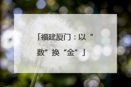 福建厦门：以“数”换“金”