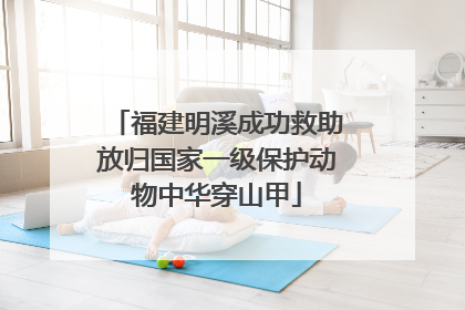 福建明溪成功救助放归国家一级保护动物中华穿山甲