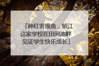 种红薯摸鱼，镇江这家学校在田间池畔见证学生快乐成长