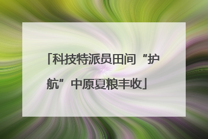 科技特派员田间“护航”中原夏粮丰收