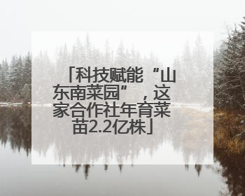 科技赋能“山东南菜园”，这家合作社年育菜苗2.2亿株