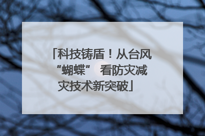 科技铸盾！从台风“蝴蝶” 看防灾减灾技术新突破