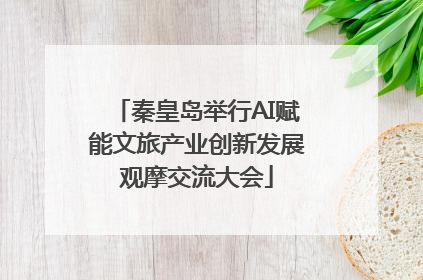 秦皇岛举行AI赋能文旅产业创新发展观摩交流大会