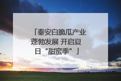 秦安白脆瓜产业蓬勃发展 开启夏日“甜蜜季”