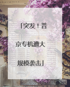 突发！普京专机遭大规模袭击