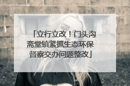 立行立改！门头沟斋堂镇紧抓生态环保督察交办问题整改