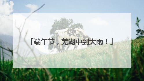 端午节,芜湖中到大雨!