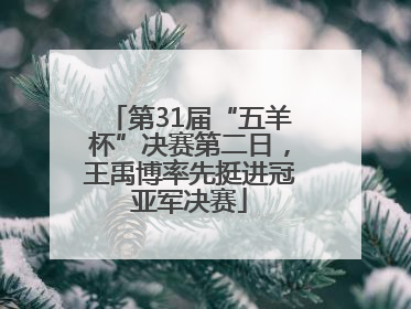 第31届“五羊杯”决赛第二日，王禹博率先挺进冠亚军决赛