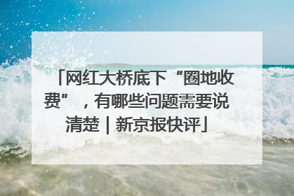 网红大桥底下“圈地收费”，有哪些问题需要说清楚｜新京报快评