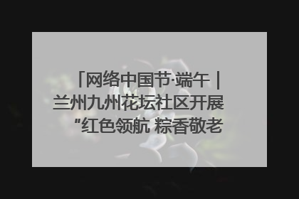 网络中国节·端午｜兰州九州花坛社区开展“红色领航 粽香敬老”端午主题活动