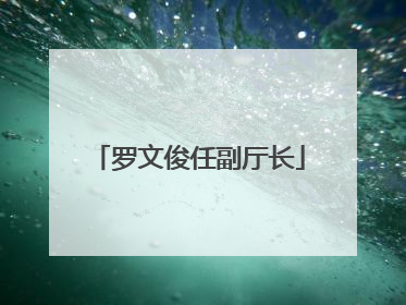 罗文俊任副厅长