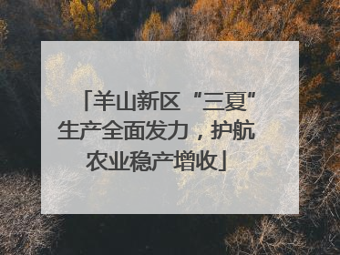 羊山新区“三夏”生产全面发力，护航农业稳产增收