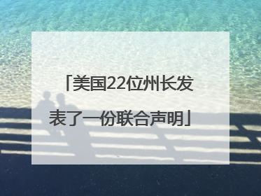 美国22位州长发表了一份联合声明