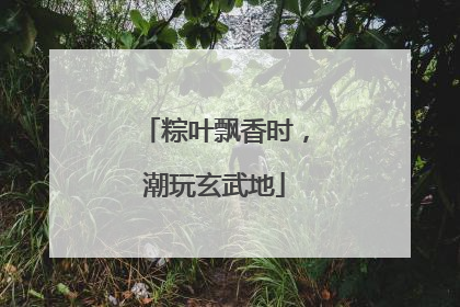 粽叶飘香时，潮玩玄武地