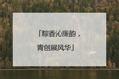 粽香沁廉韵，青创展风华