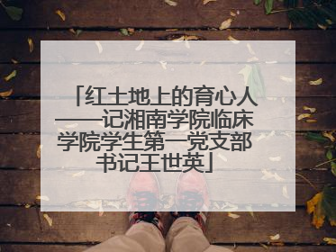 红土地上的育心人——记湘南学院临床学院学生第一党支部书记王世英