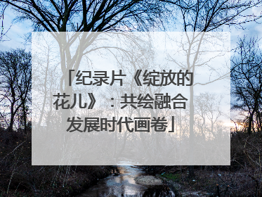 纪录片《绽放的花儿》：共绘融合发展时代画卷