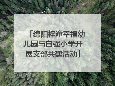 绵阳梓潼幸福幼儿园与自强小学开展支部共建活动