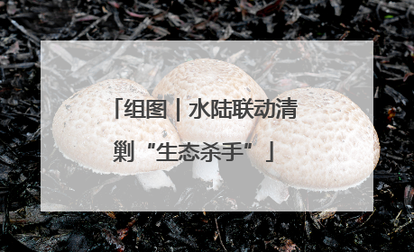 组图｜水陆联动清剿“生态杀手”