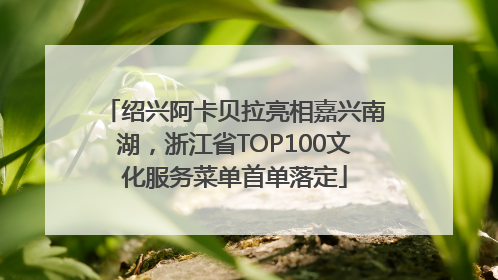 绍兴阿卡贝拉亮相嘉兴南湖，浙江省TOP100文化服务菜单首单落定