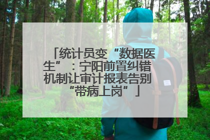统计员变“数据医生”：宁阳前置纠错机制让审计报表告别“带病上岗”