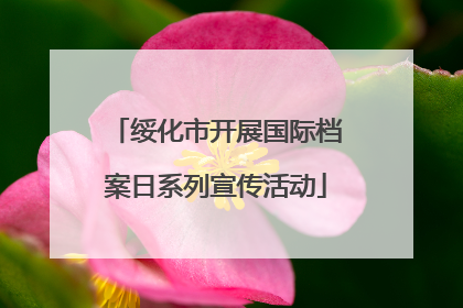 绥化市开展国际档案日系列宣传活动