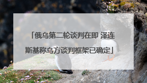 俄乌第二轮谈判在即 泽连斯基称乌方谈判框架已确定