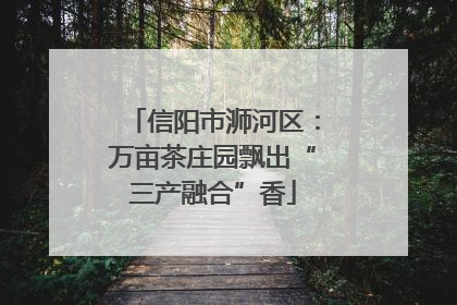 信阳市浉河区：万亩茶庄园飘出“三产融合”香