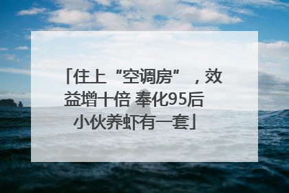 住上“空调房”，效益增十倍 奉化95后小伙养虾有一套