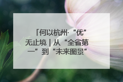 何以杭州·“优”无止境｜从“全省第一”到“未来图景” 余杭加速航行
