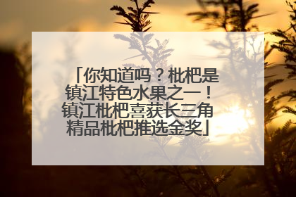 你知道吗？枇杷是镇江特色水果之一！镇江枇杷喜获长三角精品枇杷推选金奖