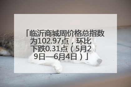 临沂商城周价格总指数为102.97点，环比下跌0.31点（5月29日—6月4日）