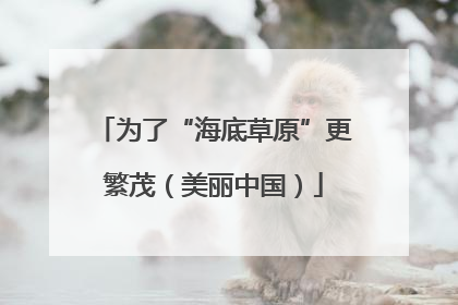 为了“海底草原”更繁茂（美丽中国）