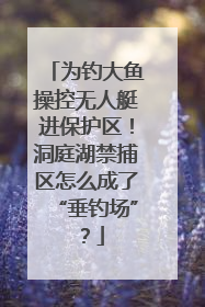 为钓大鱼操控无人艇进保护区！洞庭湖禁捕区怎么成了“垂钓场”？
