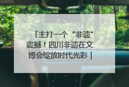 主打一个“非遗”震撼！四川非遗在文博会绽放时代光彩｜文博向“新”