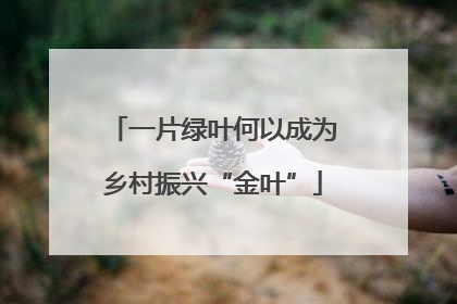 一片绿叶何以成为乡村振兴“金叶”
