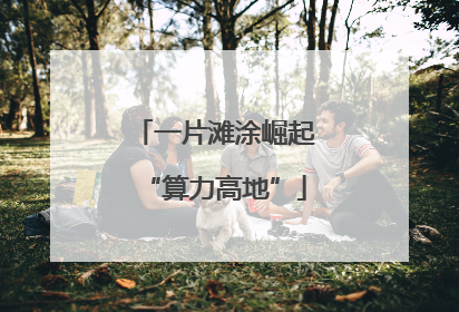 一片滩涂崛起“算力高地”