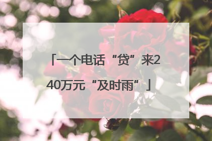 一个电话“贷”来240万元“及时雨”