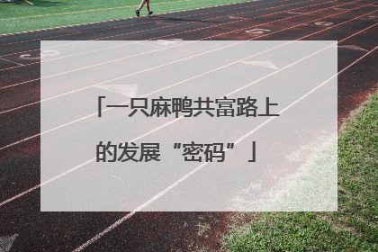 一只麻鸭共富路上的发展“密码”