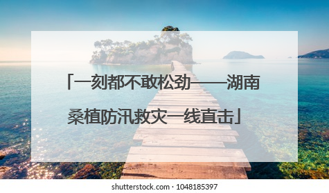 一刻都不敢松劲——湖南桑植防汛救灾一线直击