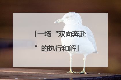 一场“双向奔赴”的执行和解