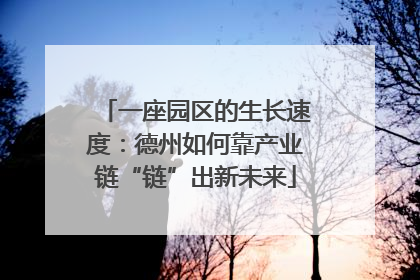 一座园区的生长速度：德州如何靠产业链“链”出新未来