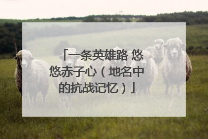 一条英雄路 悠悠赤子心（地名中的抗战记忆）