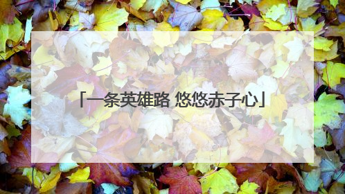 一条英雄路 悠悠赤子心
