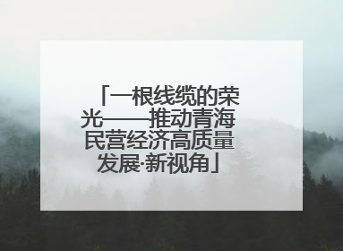 一根线缆的荣光——推动青海民营经济高质量发展·新视角