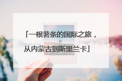 一根薯条的国际之旅，从内蒙古到斯里兰卡