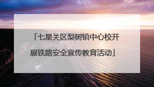 七星关区梨树镇中心校开展铁路安全宣传教育活动