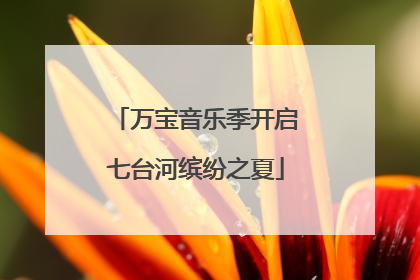 万宝音乐季开启七台河缤纷之夏