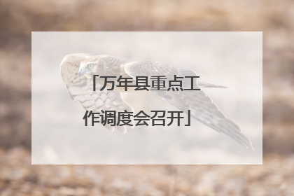 万年县重点工作调度会召开