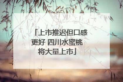 上市推迟但口感更好 四川水蜜桃将大量上市